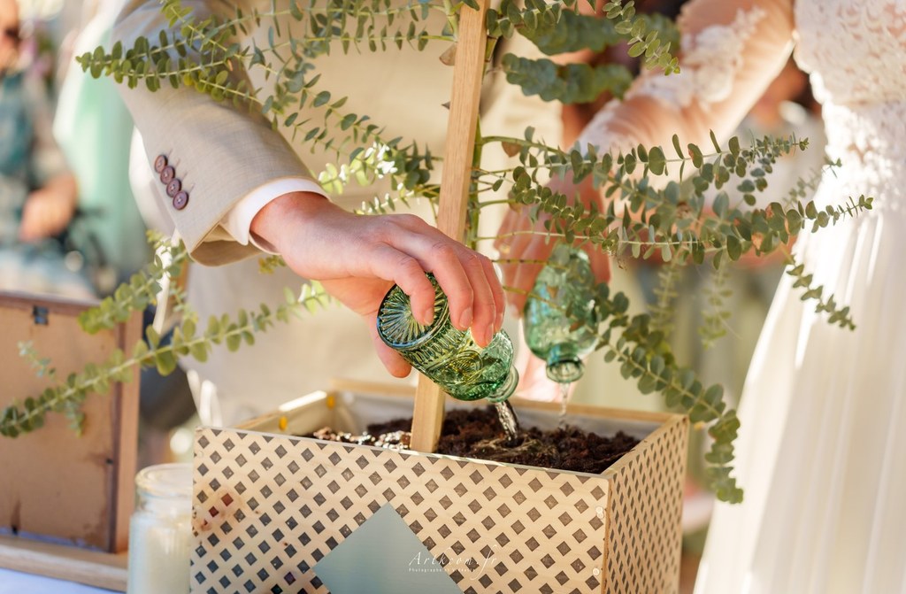 Des racines d&rsquo;amour profondes : le rituel symbolique de l&rsquo;Arbre planté pour votre cérémonie laïque